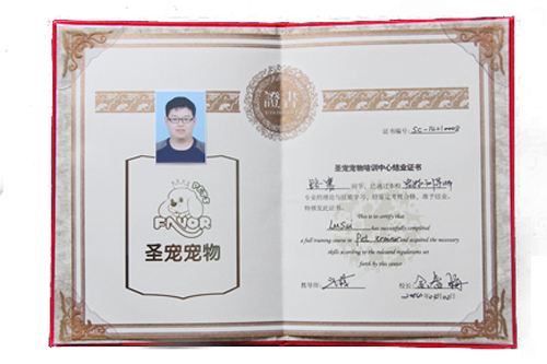 寵物訓導結(jié)業(yè)證書