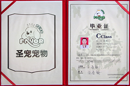 畢業(yè)學(xué)子張巖