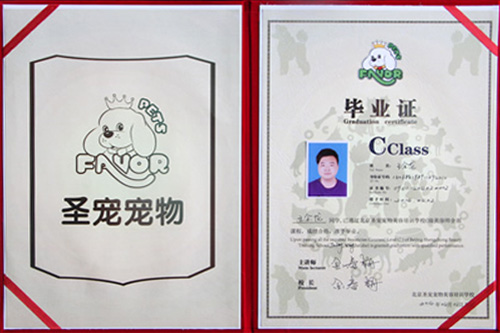 畢業(yè)學子王金龍結(jié)業(yè)證書