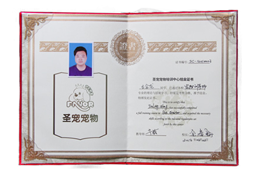 寵物訓導班結(jié)業(yè)證書
