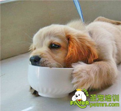 配置營養(yǎng)餐需要注意什么事項