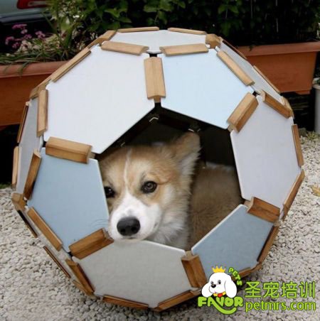 狗狗窩
