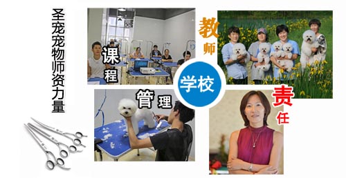 圣寵寵物師資力量