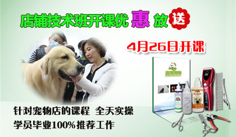 店鋪技術(shù)班開(kāi)課優(yōu)惠