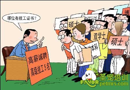 沒有技術(shù)找工作真難