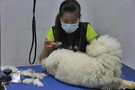 圣寵學(xué)員高彥虹