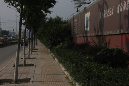 學(xué)校周邊小路