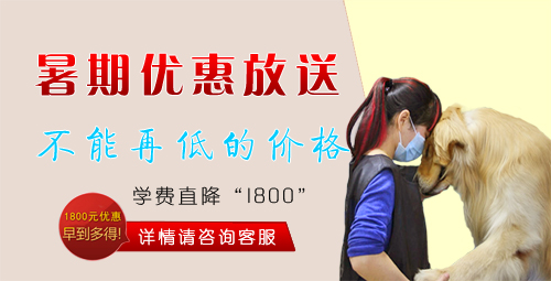 暑期優(yōu)惠