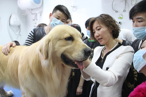 圣寵寵物美容學(xué)校