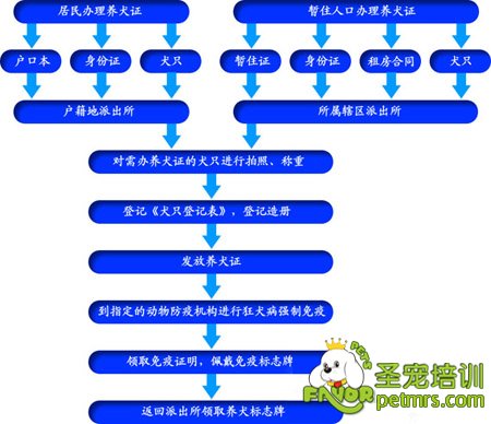手續(xù)流程
