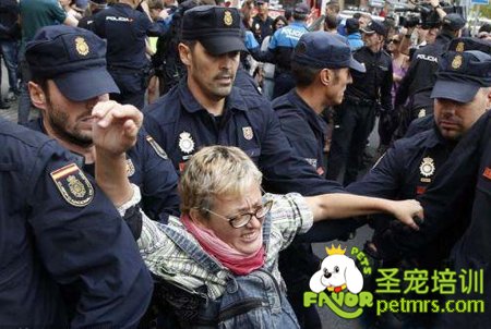 西班牙民眾與警方對(duì)峙抗議處死埃博拉病患寵物狗