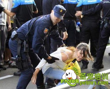 西班牙民眾與警方對(duì)峙抗議處死埃博拉病患寵物狗