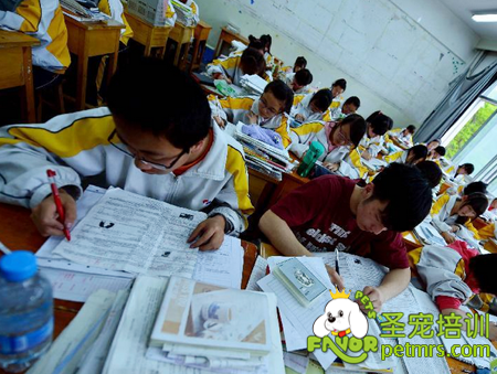 高考學(xué)子正在拼命讀書
