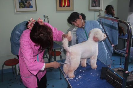 老師手把手指導(dǎo)學(xué)員美容手法