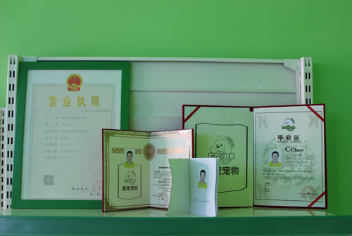 圣寵學員結業(yè)證書及營業(yè)執(zhí)照