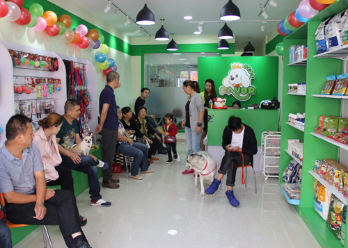 圣寵寵物無錫東風(fēng)家園寵物店