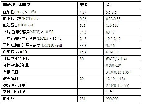 血常規(guī)檢查