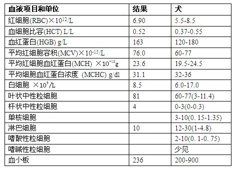 血常規(guī)檢查