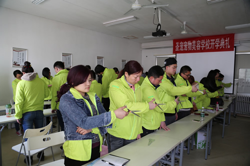 圣寵寵物19期學員練習剪刀