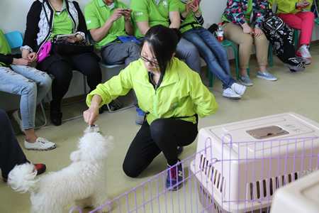 圣寵寵物19期學(xué)員訓(xùn)犬課