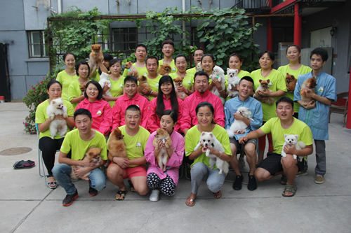 圣寵寵物美容學(xué)校26期博美犬修剪實(shí)操課