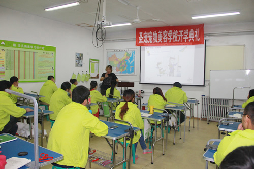 圣寵寵物28期班犬只行為學(xué)課程