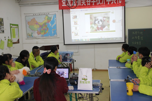 圣寵寵物28期學(xué)員寵物飾品DIY課程