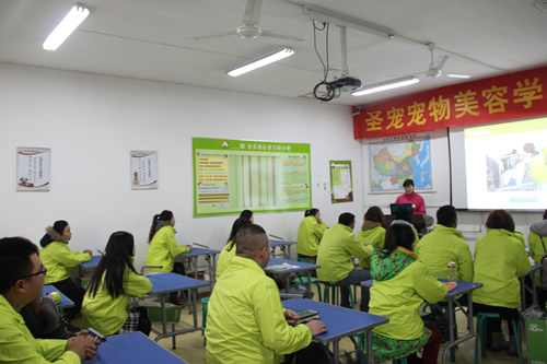 圣寵寵物33期寵物美容班開(kāi)學(xué)典禮