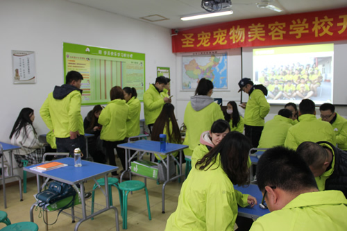 圣寵寵物33期寵物美容班開(kāi)學(xué)典禮