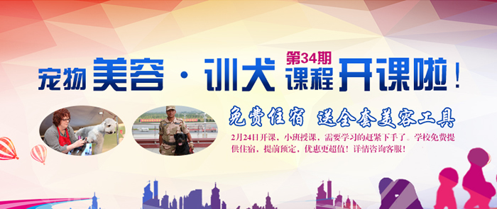 學(xué)寵物美容訓(xùn)犬 送全套工具 免費住宿