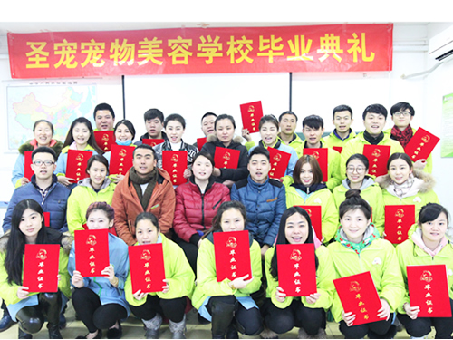 如何選擇一家正規(guī)的寵物美容學(xué)校