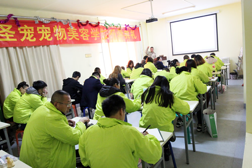 美容班35期2班犬只行為學(xué)課，授課導(dǎo)師任凱