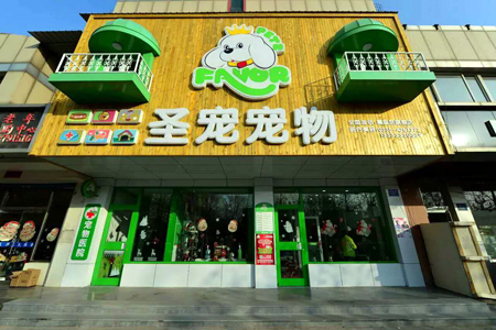 隨秦皇島電視臺走進圣寵學員開設的寵物醫(yī)院