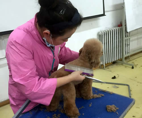 高中畢業(yè)學什么比較有前途