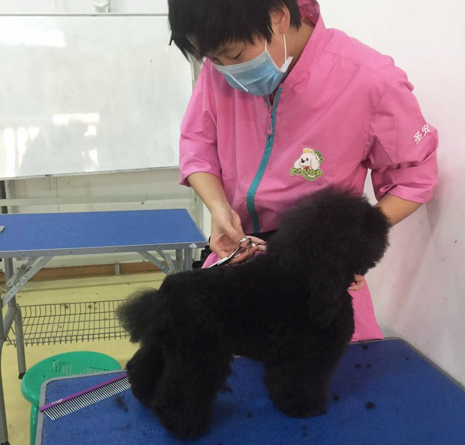 高中畢業(yè)學什么比較有前途