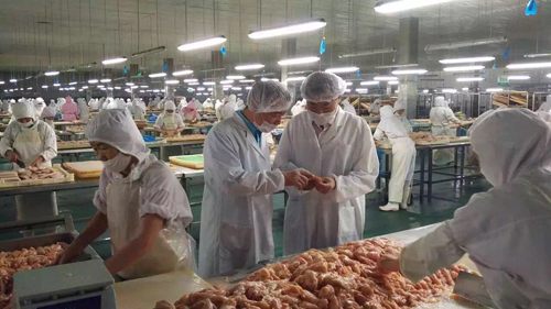 圣寵董事長(zhǎng)考察路斯生產(chǎn)基地