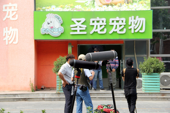 boss當(dāng)不起拍攝地點圣寵寵物美容學(xué)校