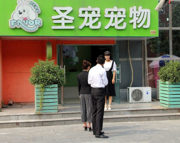 boss當(dāng)不起拍攝地點圣寵寵物美容學(xué)校