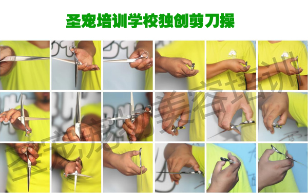 恭喜圣寵綜合美容41期班進(jìn)入圣寵大家庭