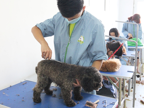 43期美容班美容修剪實(shí)操課