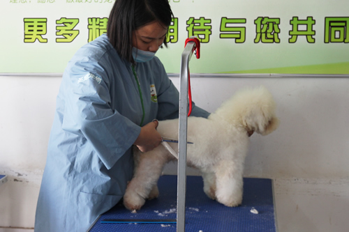 43期美容班實(shí)操美容課