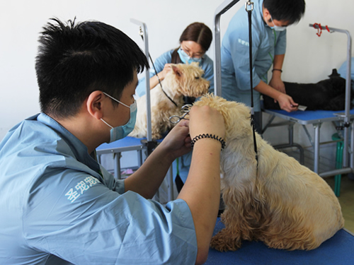 44期美容班修造美容護(hù)理實(shí)操課