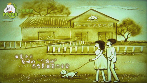 圣寵-狗狗的第二個(gè)“家”