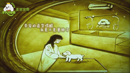 圣寵-狗狗的第二個(gè)“家”