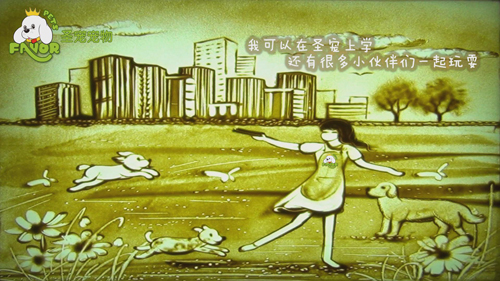 圣寵-狗狗的第二個(gè)“家”