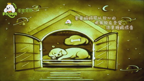 圣寵-狗狗的第二個(gè)“家”