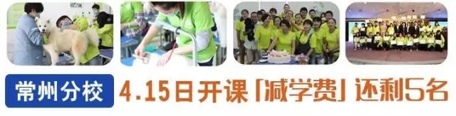 重磅追擊 | 圣寵常州分?！坝蓄佊辛嫌謨?yōu)惠”「4月15號開課」