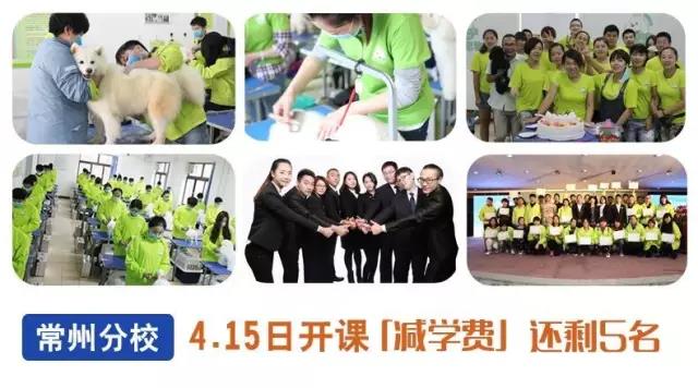 重磅追擊 | 圣寵常州分?！坝蓄佊辛嫌謨?yōu)惠”「4月15號開課」