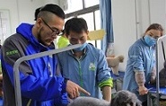 寵物美容