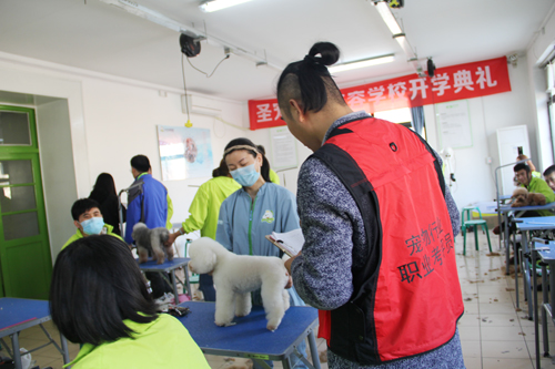 圣寵培訓第74期美容班學員畢業(yè)考試